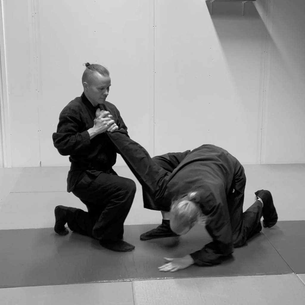 Bujinkan Dojo Oulu